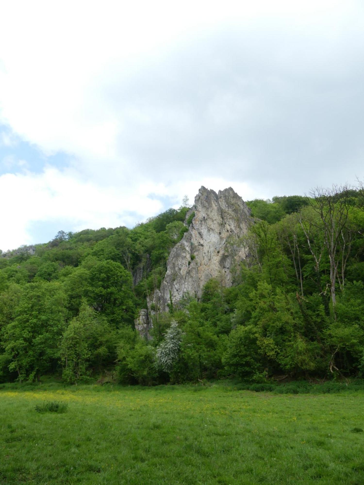 Au bois charmant Waulsort Extérieur photo